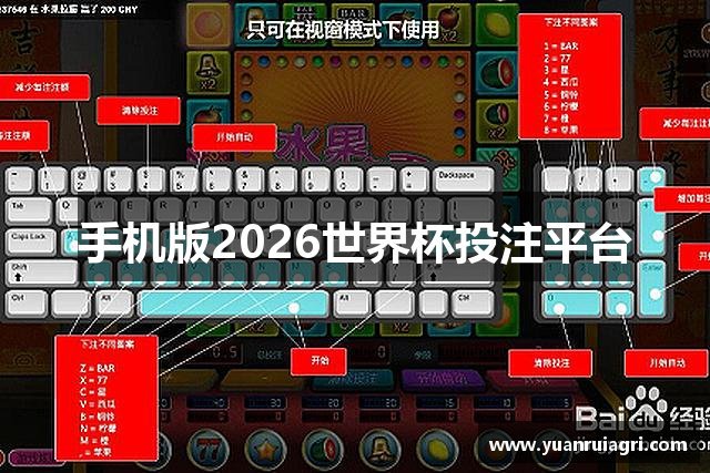 手机版2026世界杯投注平台